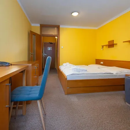 Hotell Wellness Repiska 3*