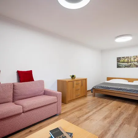 Hotell Wellness Repiska 3*