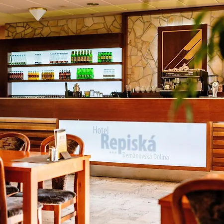 Wellness Repiska
