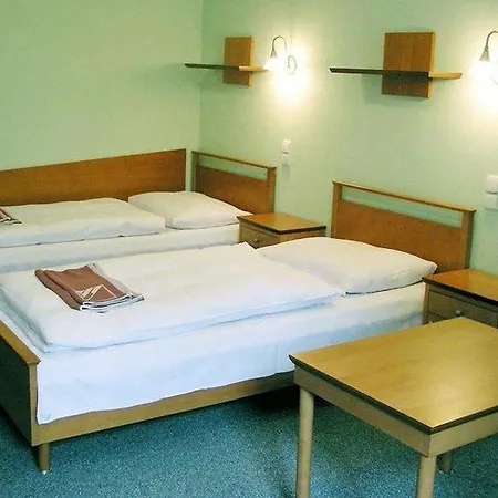 فندق Wellness Repiska 3*