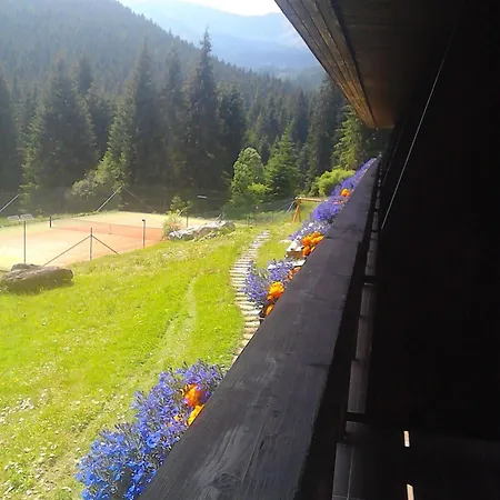 Wellness Repiska 3* Demanovska Dolina